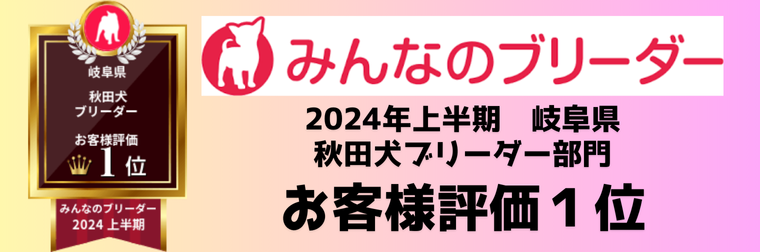 ブリーダーアワード岐阜県 秋田犬部門1位